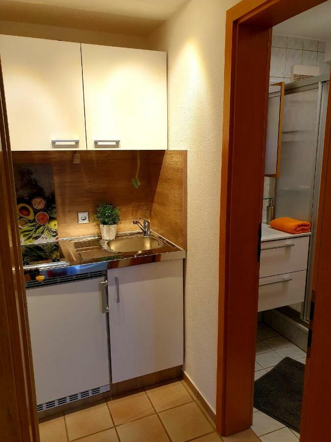 Wohlfuehl-Apartment Bad Kissingen II Luaran gambar
